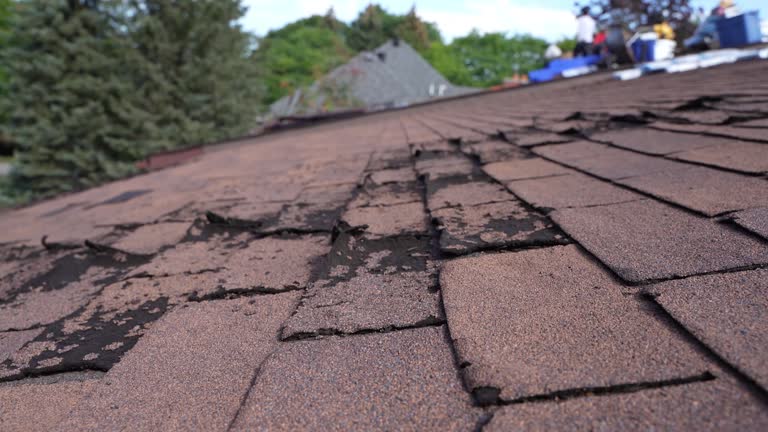 Hot Roofs in Harvey, ND